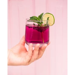 Blueberry Mint Infusion Kit -Liquor Specialty Store 2 c6ef0f27 37aa 4a57 b192 d2020df7341e
