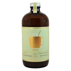 3/4 Oz. Maison Ginger Ale Syrup