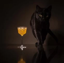 Silver Dream Deco Coupe Glass -Liquor Specialty Store 51052538 5762 4503 A8CD DAF62A213DEC