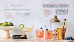 Booze Cruise: A Tour Of The World's Essential Mixed Drinks -Liquor Specialty Store 7101oJm7u4L