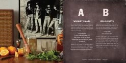Booze & Vinyl: A Spirited Guide To Great Music And Mixed Drinks -Liquor Specialty Store 91s1EpXNeBL