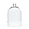 Abbott Classic Cloche Dome -Liquor Specialty Store Classic Cloche Dome