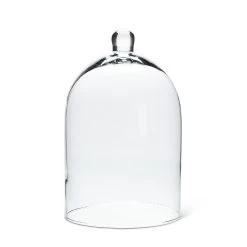 Abbott Classic Cloche Dome