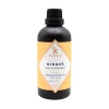 Kinsip Ginger Bitters 2 Kinsip Ginger Bitters -Liquor Specialty Store KinsipGinger800x800