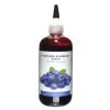 Prosyro Blueberry Syrup -Liquor Specialty Store NorthernBlueberry