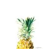 Pineapple Greeting Card -Liquor Specialty Store Pineapple Website