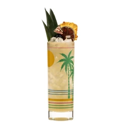 Retro Tropical Collins Glass