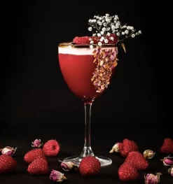 Urban Bar Gold Rim Nick & Nora Glass 9 Urban Bar Gold Rim Nick & Nora Glass -Liquor Specialty Store Screen Shot 2019 04 02 at 4.24.34 PM