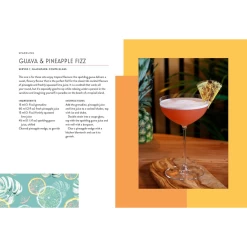 The Dry Bar: Over 60 Recipes For Zero-proof Craft Cocktails -Liquor Specialty Store TheDryBar 5