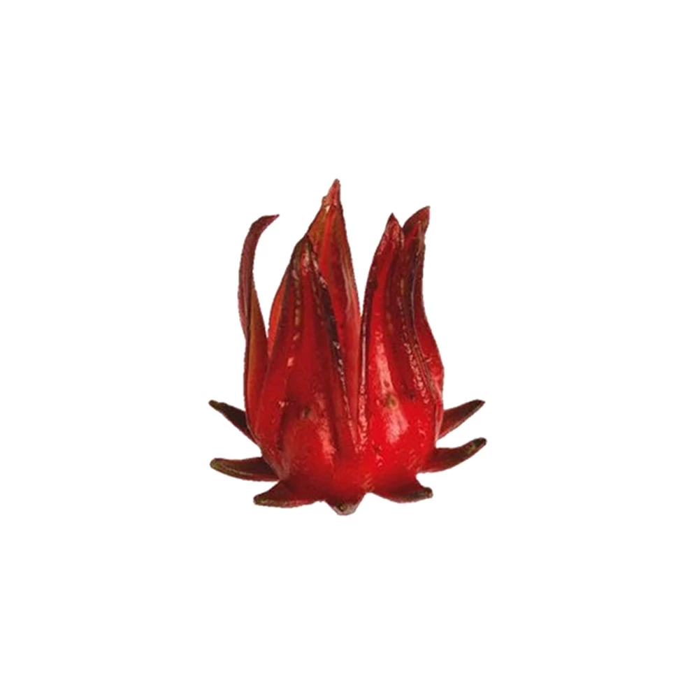 Wild Hibiscus Flowers In Syrup (1L) 4 Wild Hibiscus Flowers In Syrup (1L) - Image 2