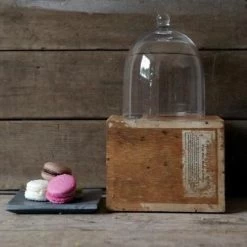 Mini Cloche Dome -Liquor Specialty Store creaticve coop