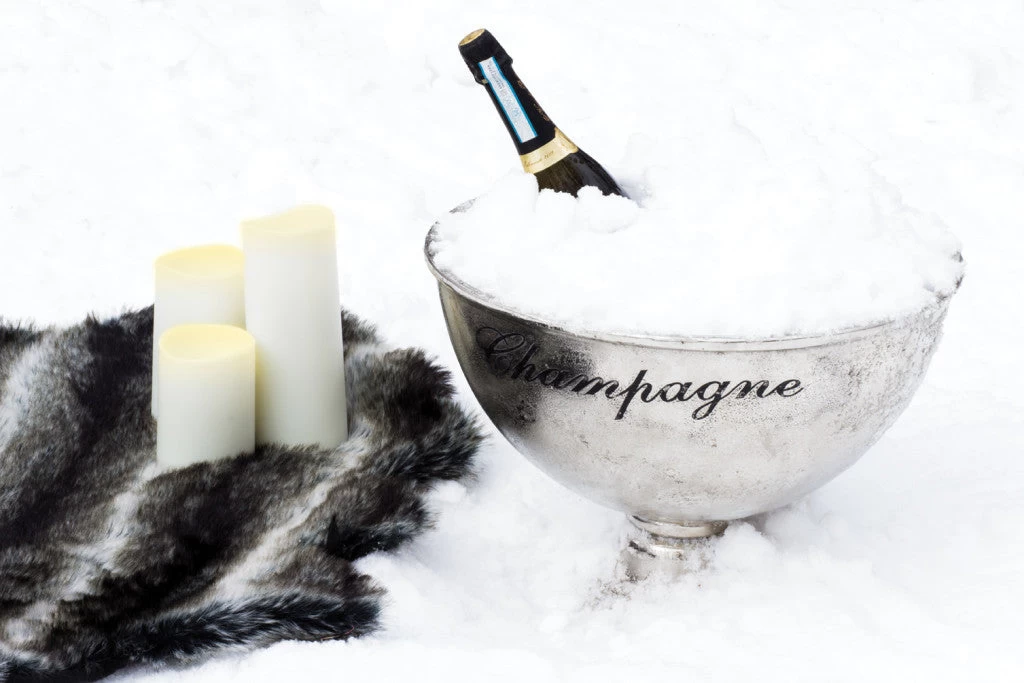 Abbott Extra Large Champagne Pedestal Bowl 6 Abbott Extra Large Champagne Pedestal Bowl - Image 4