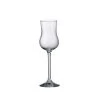 ICM Grappa Glass -Liquor Specialty Store grappa