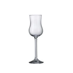 ICM Grappa Glass