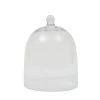 Mini Cloche Dome -Liquor Specialty Store mini cloche