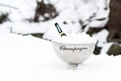 Abbott Extra Large Champagne Pedestal Bowl 8 Abbott Extra Large Champagne Pedestal Bowl -Liquor Specialty Store three f9475d81 da91 4e4c aa56 e9839fe23c4f