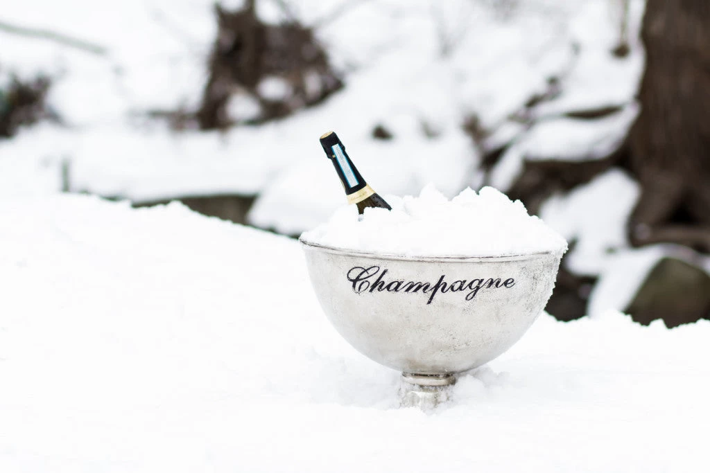 Abbott Extra Large Champagne Pedestal Bowl 5 Abbott Extra Large Champagne Pedestal Bowl - Image 3