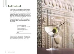 Penguin Random House The Martini Cocktail: A Meditation On The World's Greatest Drink, With Recipes -Liquor Specialty Store turf