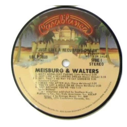 Recycled Vinyl Record Coasters -Liquor Specialty Store vinylrecordcoasters